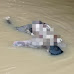 Breaking News : Warga Dihebohkan Dengan Penemuan Mayat Terapung Di Sungai